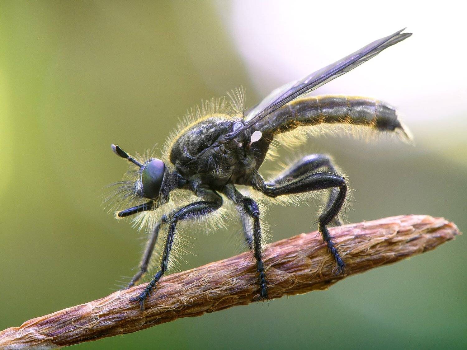 , Кузнецов Дмитрий
