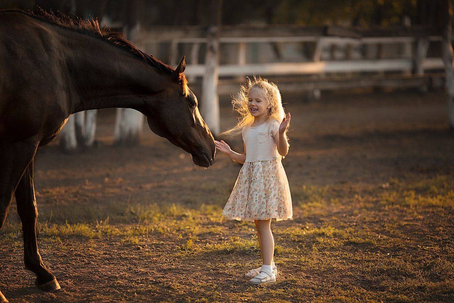 фотосессия, солнышко, солнечный свет, ребенок, радость, счастье, малышка, лошадь, лето, красотка, детское фото, детский фотограф, детский и семейный фотограф ольга францева, детские фото, детская фотосессия, дети на фото, девочка и лошадка, девочка, вечер, Францева Ольга
