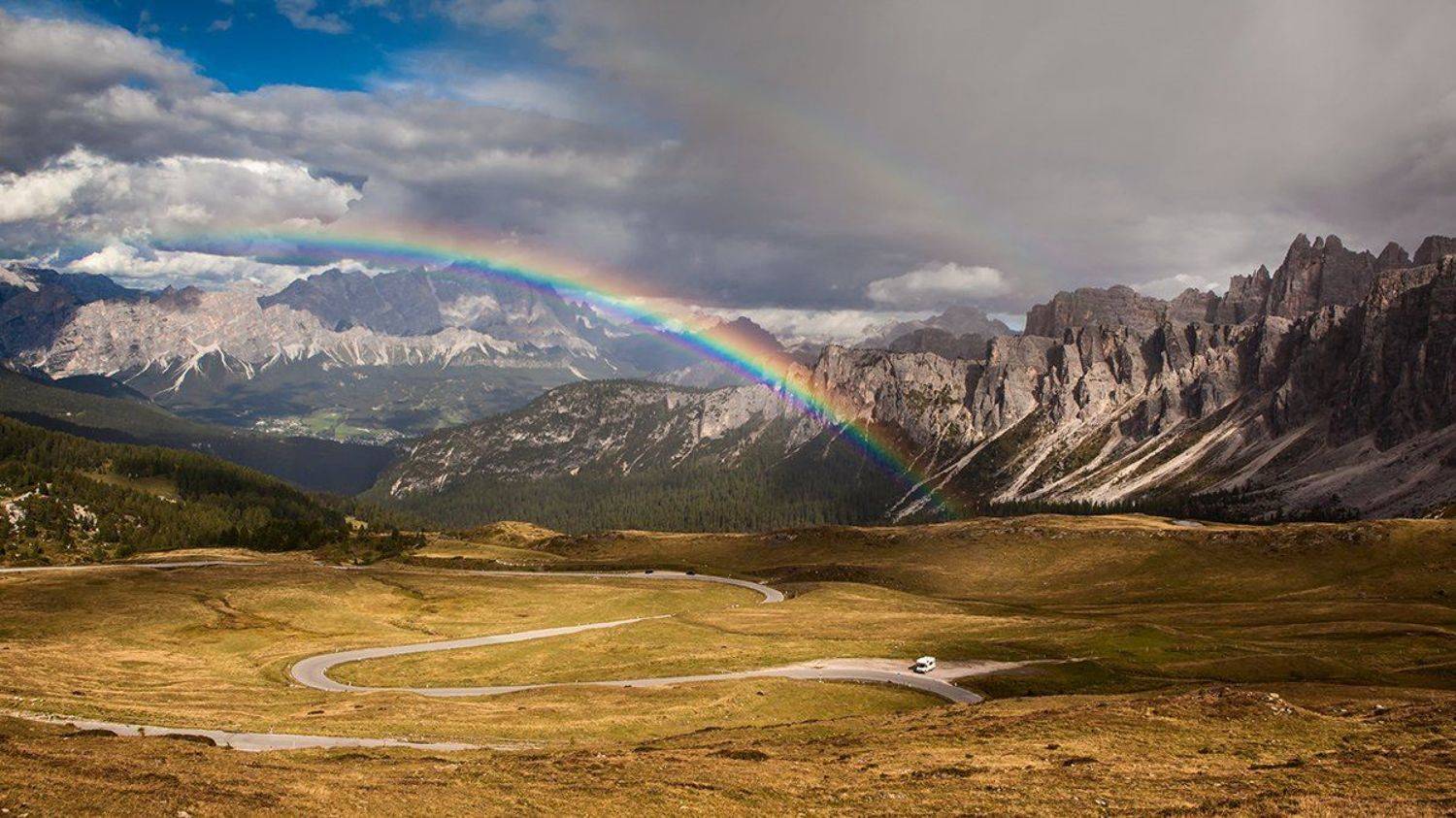 , Света  Черникова