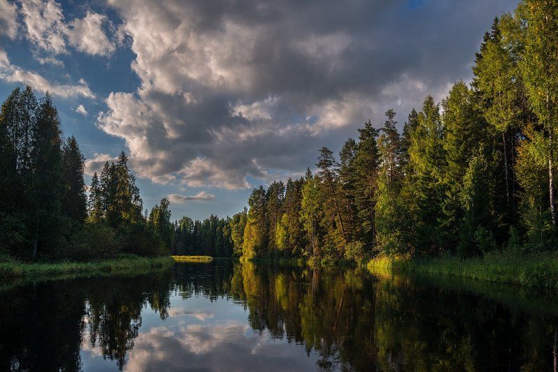 * фото превью