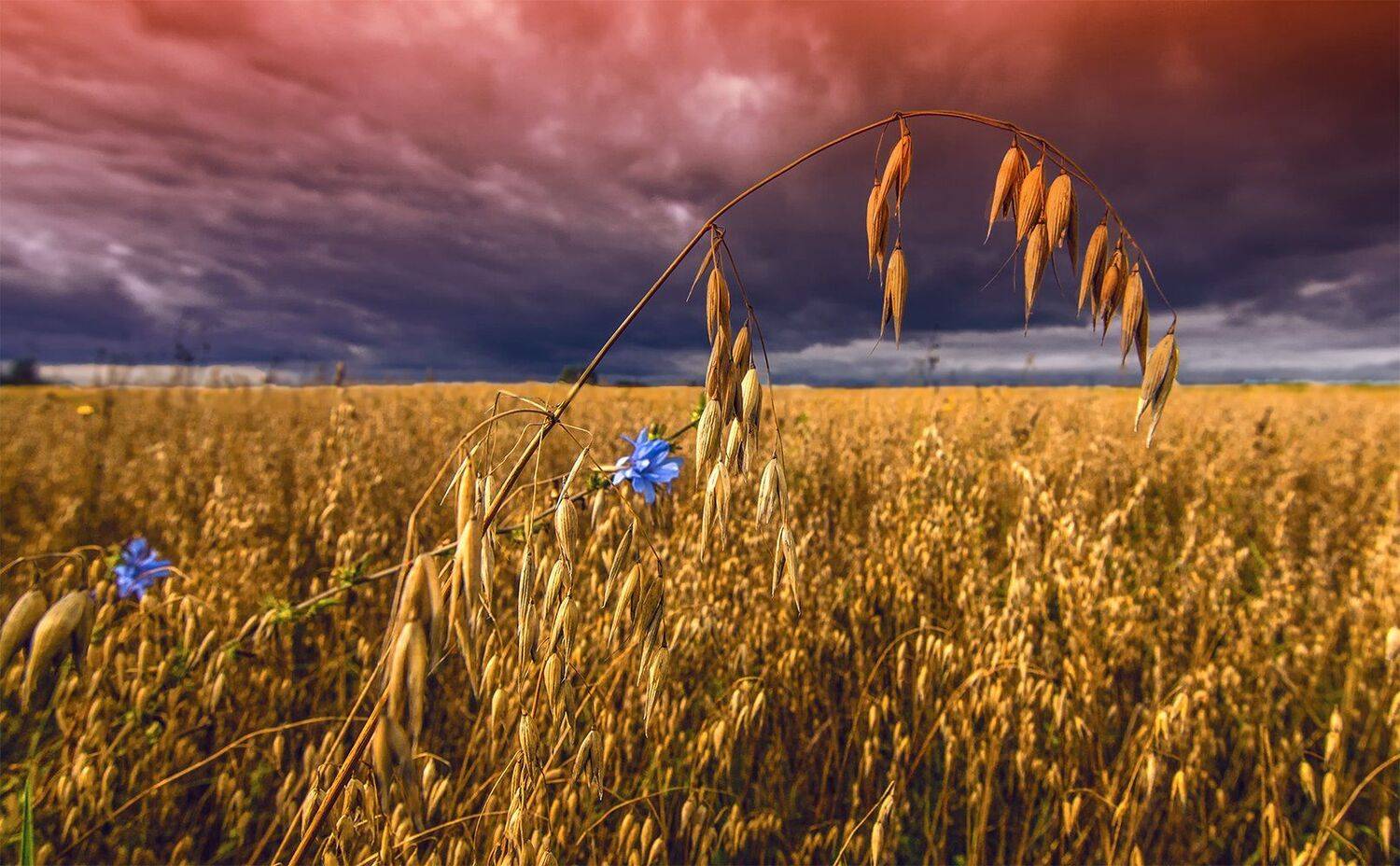 sky,colors,storm, Daiva Cirtautė