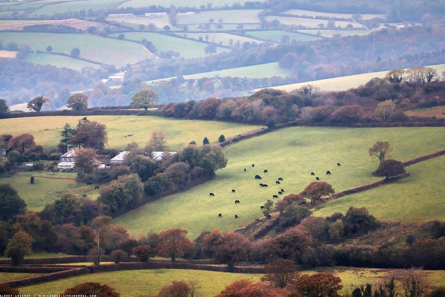 devon, dartmoor, Алексей Лобанов
