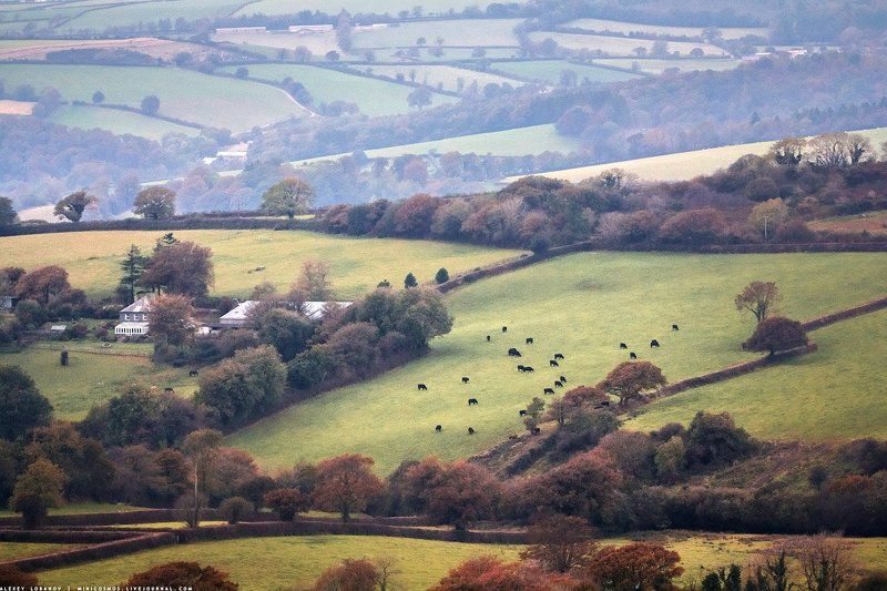 devon, dartmoor В осенних холмах фото превью