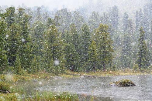 Каракольский снег