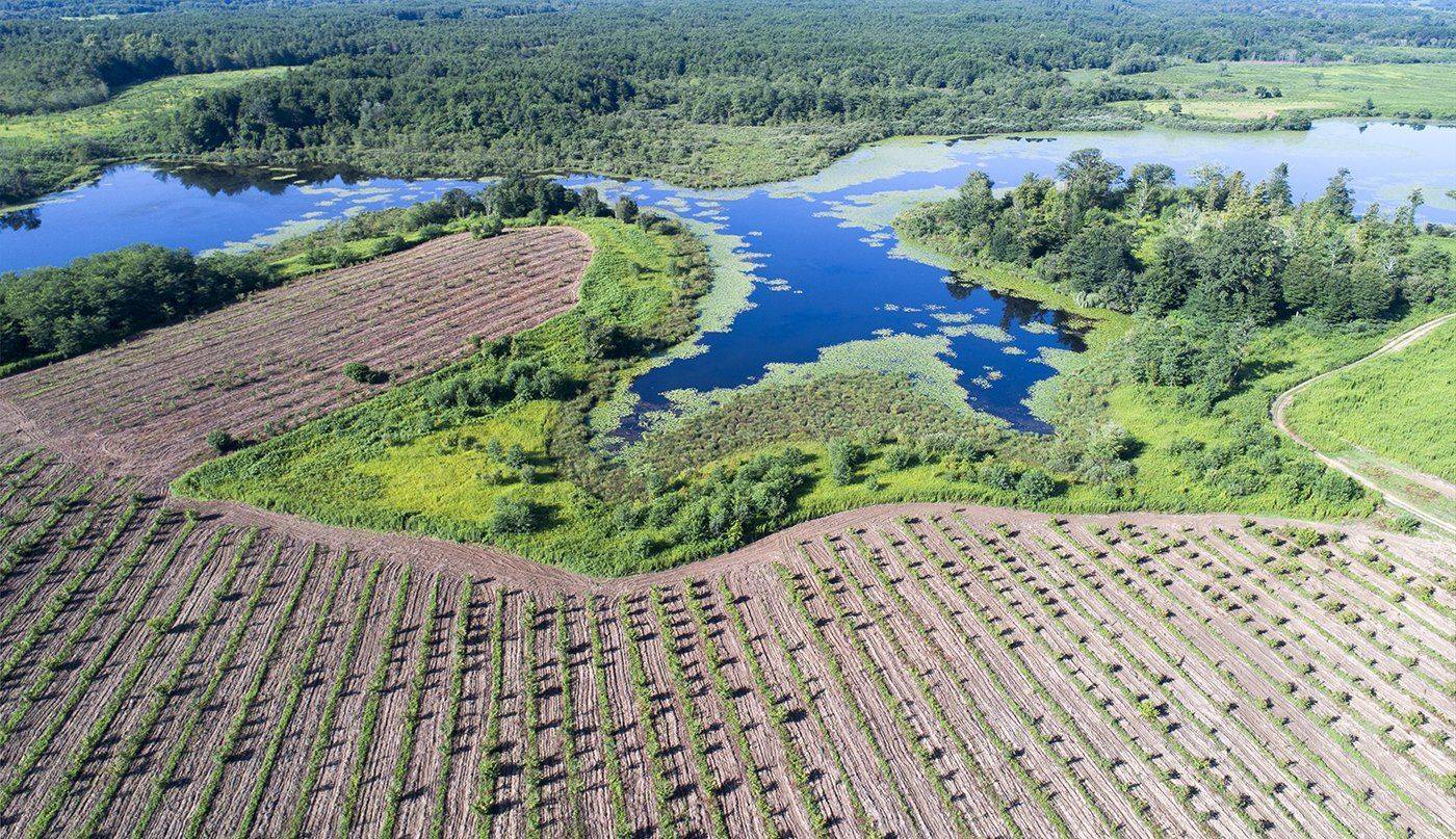 Кавказ, Абхазия, озеро, сады, Очамчира, Борис Резванцев