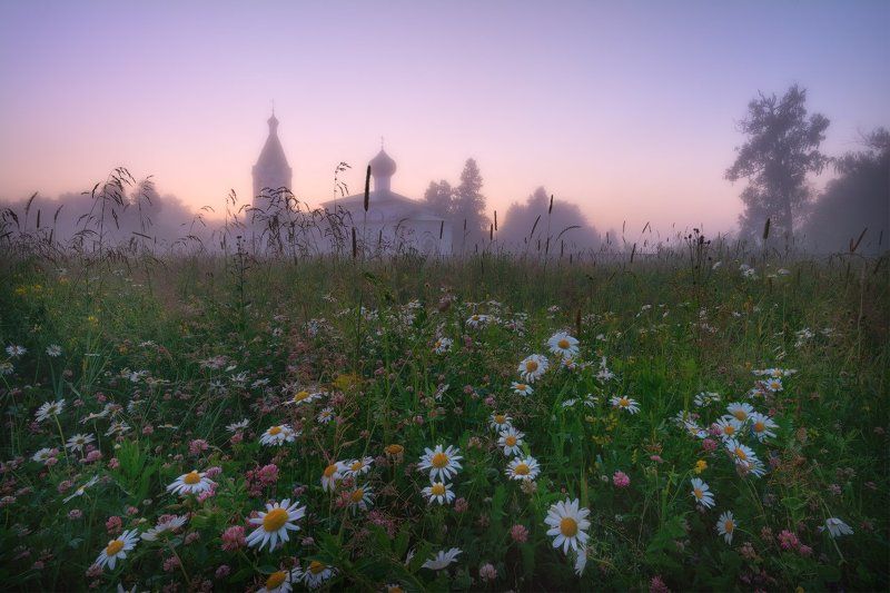 пейзаж, пейзажная съемка, вечер, туман, храм, июль, июльское утро, свежесть, молодая зелень, никон, landscape, may, fog, morning, church Летний вечер... фото превью