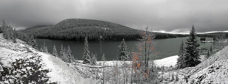 First snow   ... фото превью