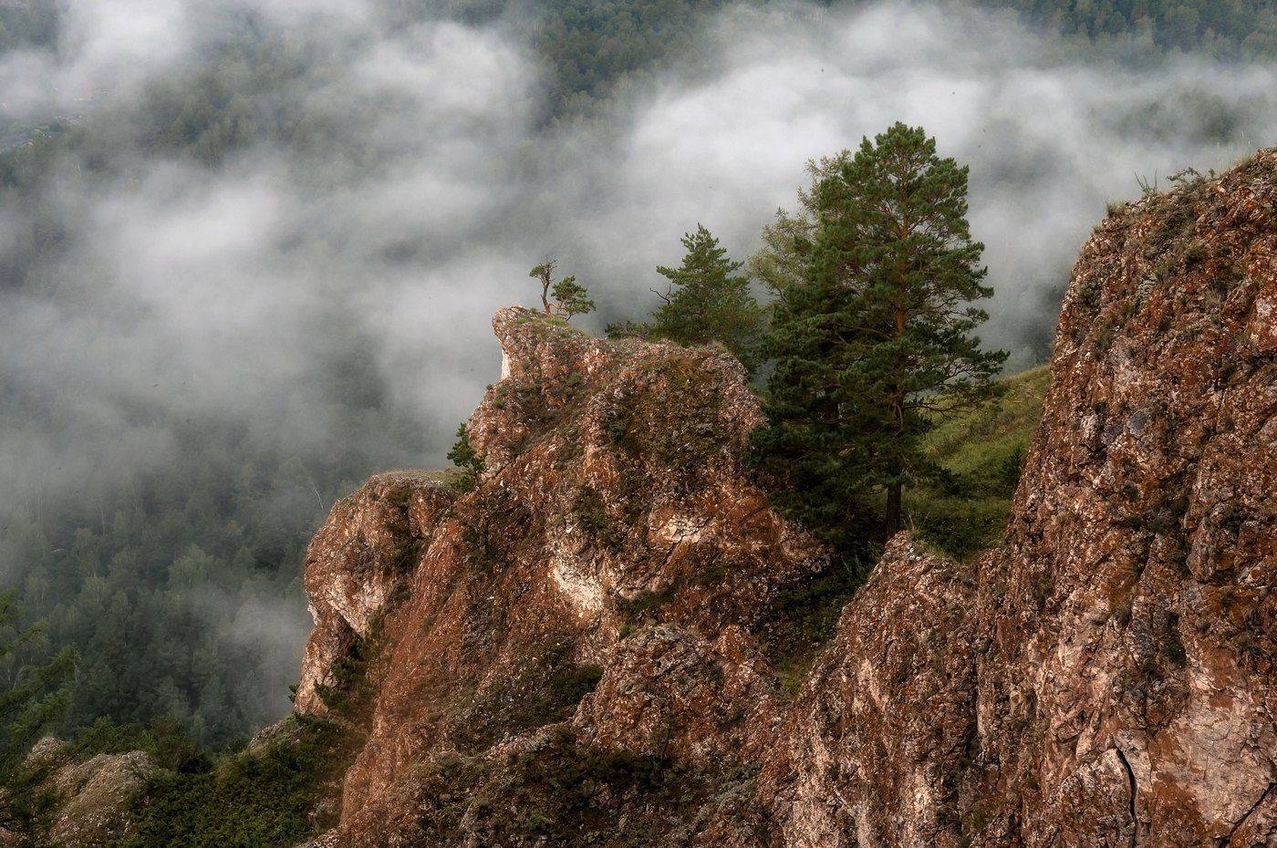 , Марина Фомина