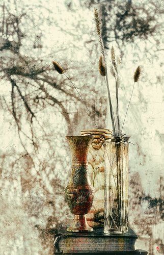 ph. «окно моего ателье»