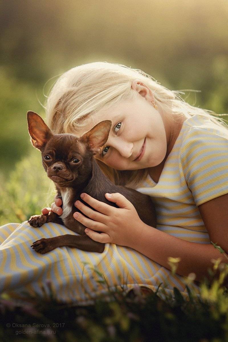 дети, девочка, лучшие друзья, чихуахуа, собака, лето, Оксана Серова
