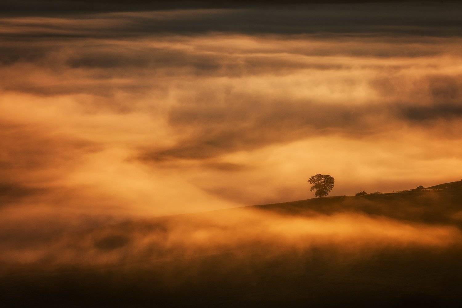 , Pawel Uchorczak