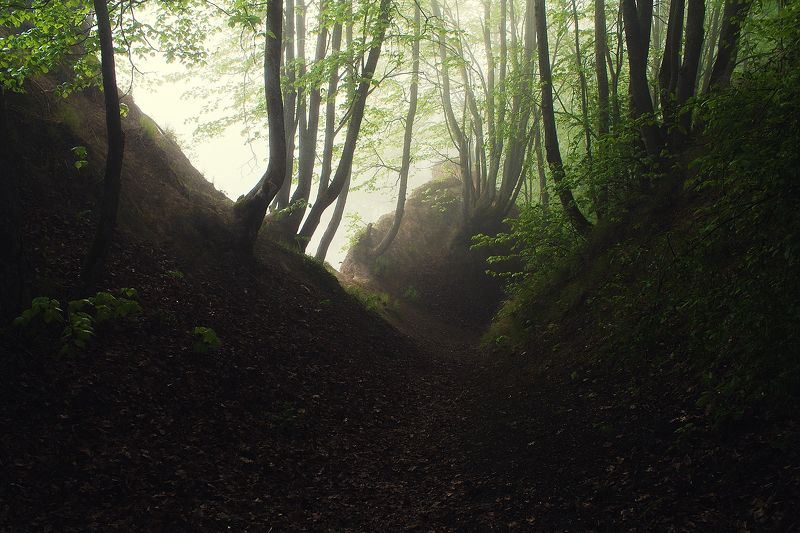 Брянск, Хотылево,утро, туман, май, рассвет,Алексей Платонов Майским утром. фото превью