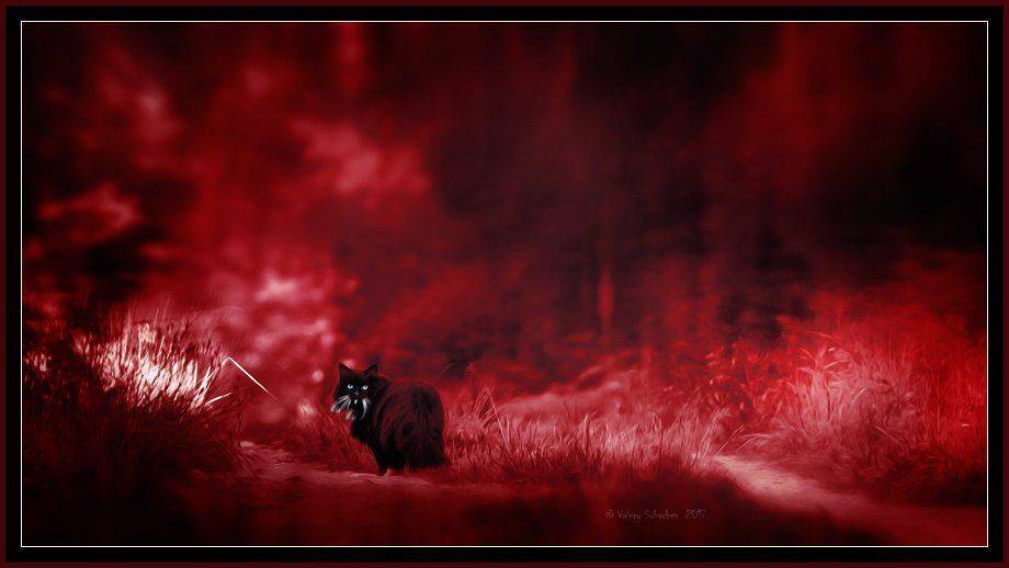 , Валерий Субачев