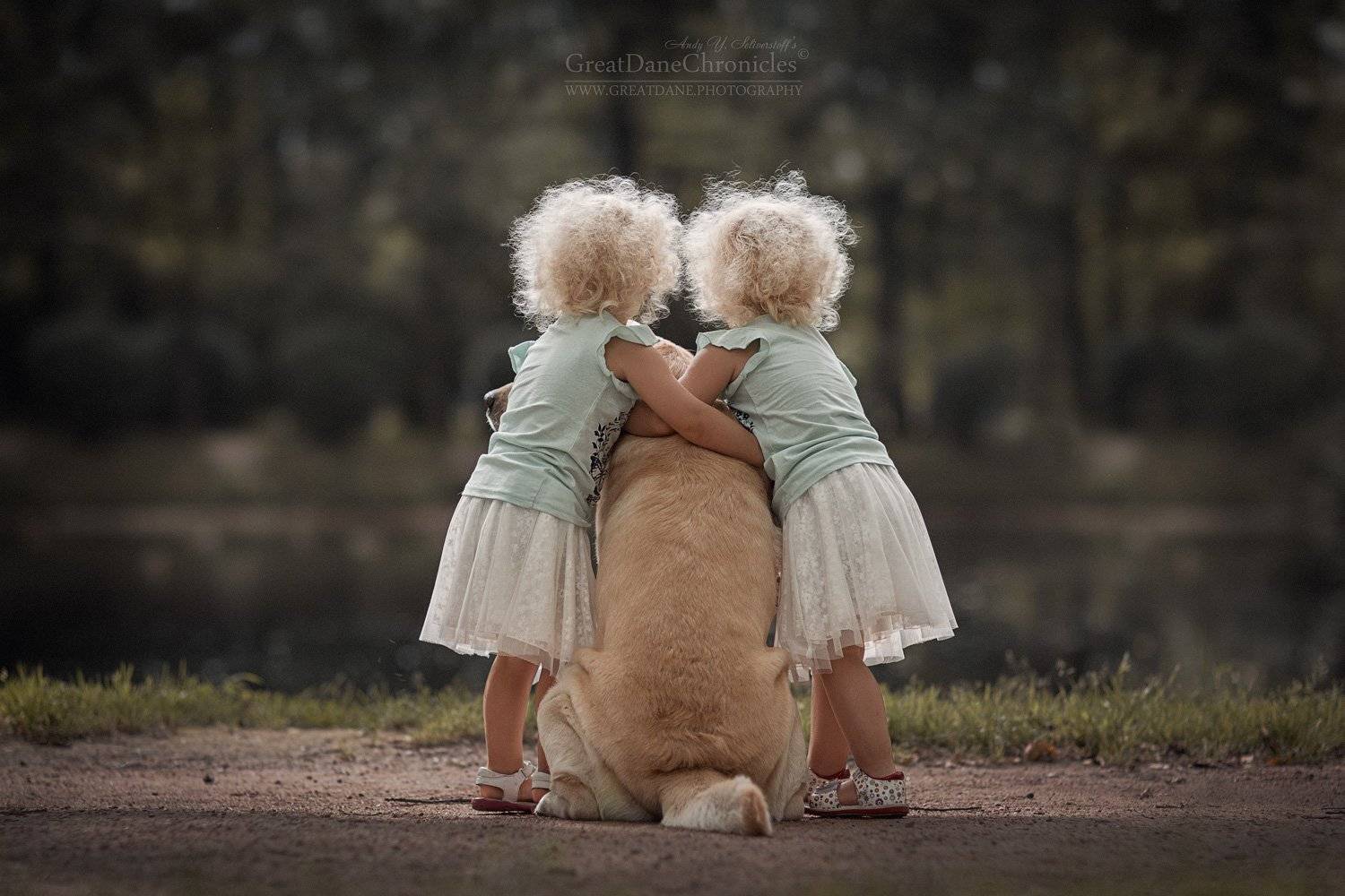 , Андрей Селиверстов