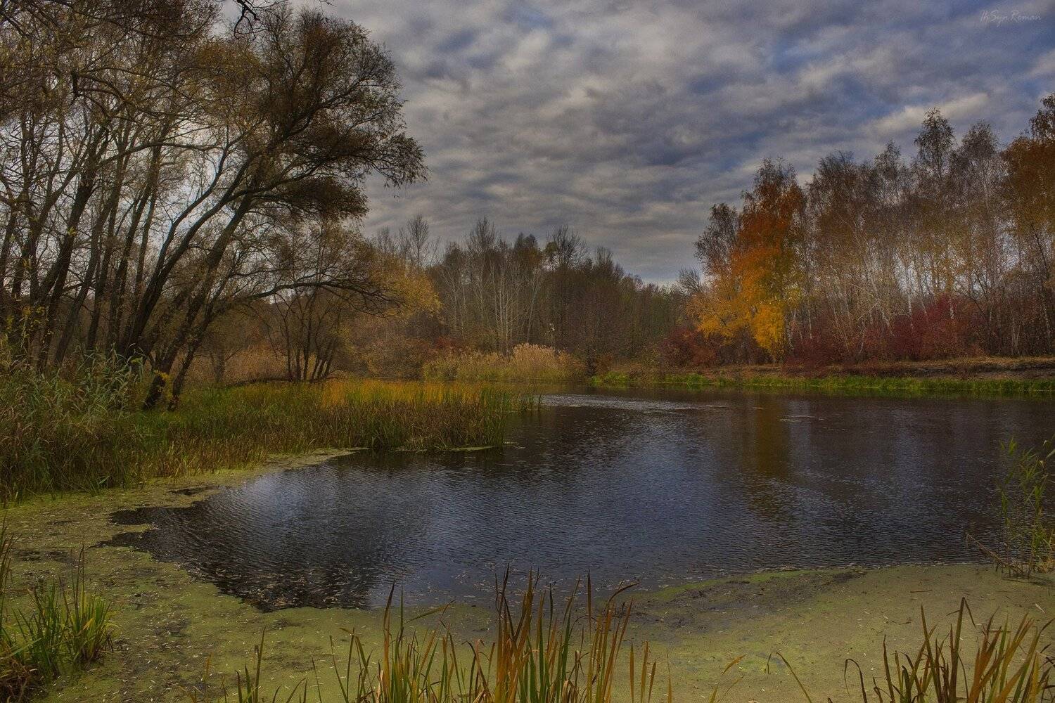 осень,утро,берег,река, Roma  Chitinskiy