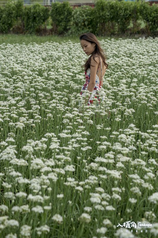 sexygirl, flowers, white,  韭菜花田 фото превью