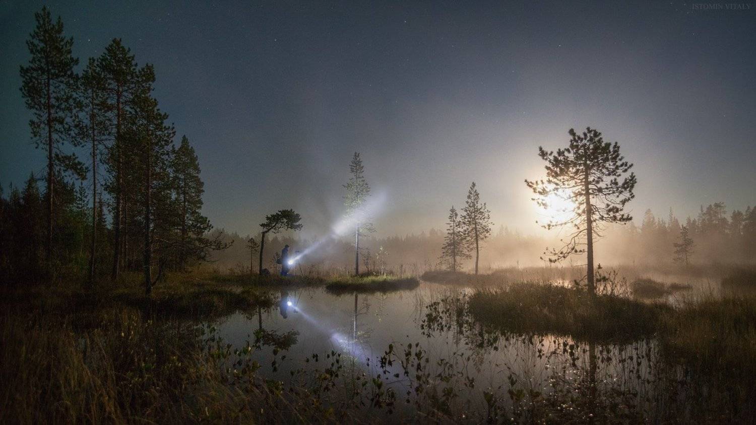 пейзаж,человек,ночь,луна,россия,свет,иуман,звезды,панорама,перспектива,деревья,болота,тишина, Виталий Истомин