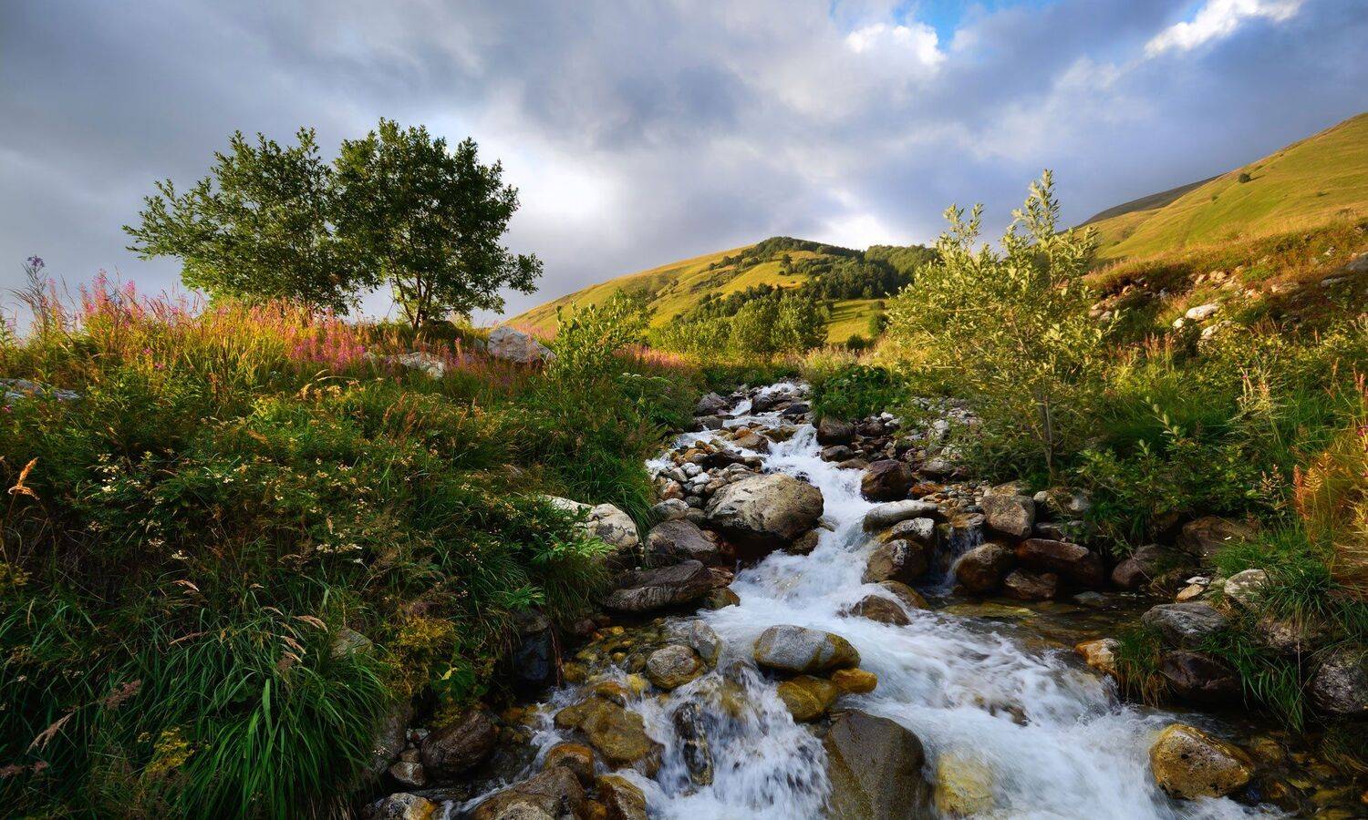 кавказ, caucasus, georgia, Михаил Маркович