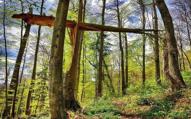 *** фото превью