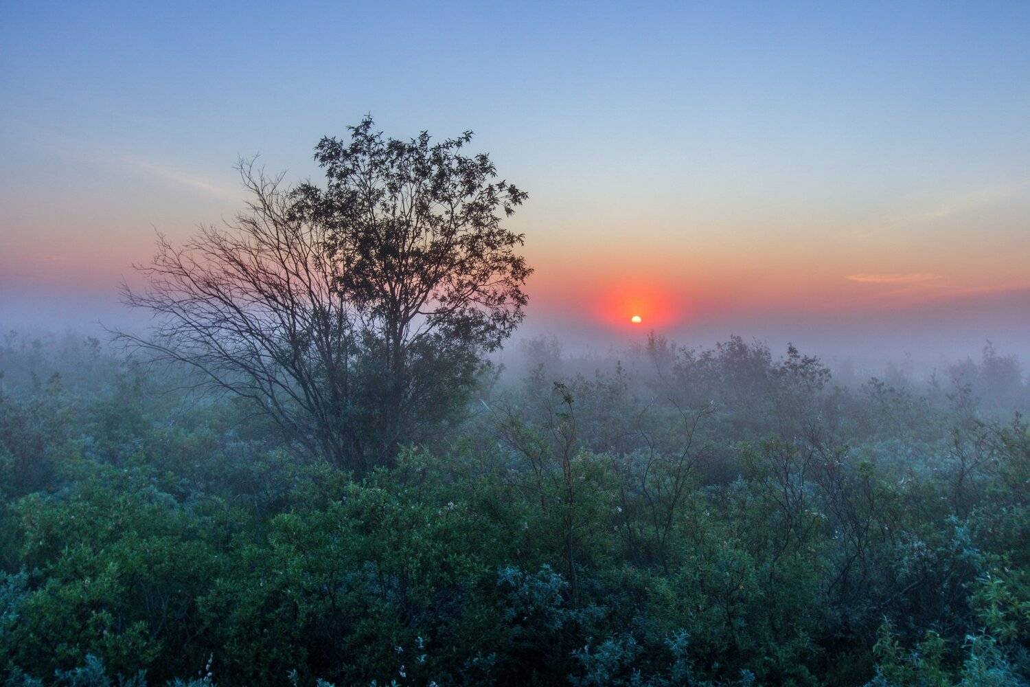 , Настя Братка