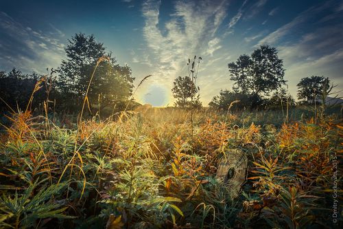 Рассвет на Жировой. Тихий Океан. 