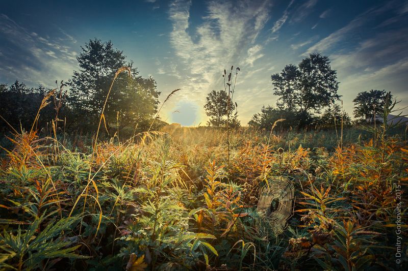 #kamchatka #landscapes #photobydmitrygorkovets #sunrise  Рассвет на Жировой. Тихий Океан.  фото превью