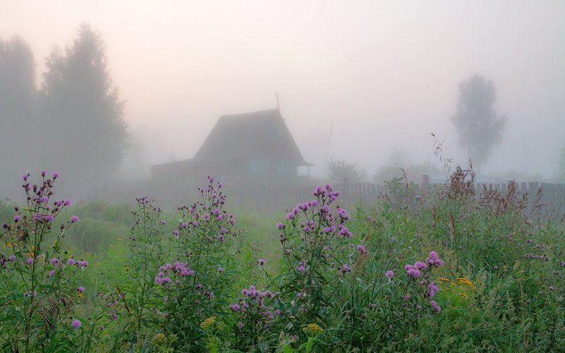 В тумане фото превью
