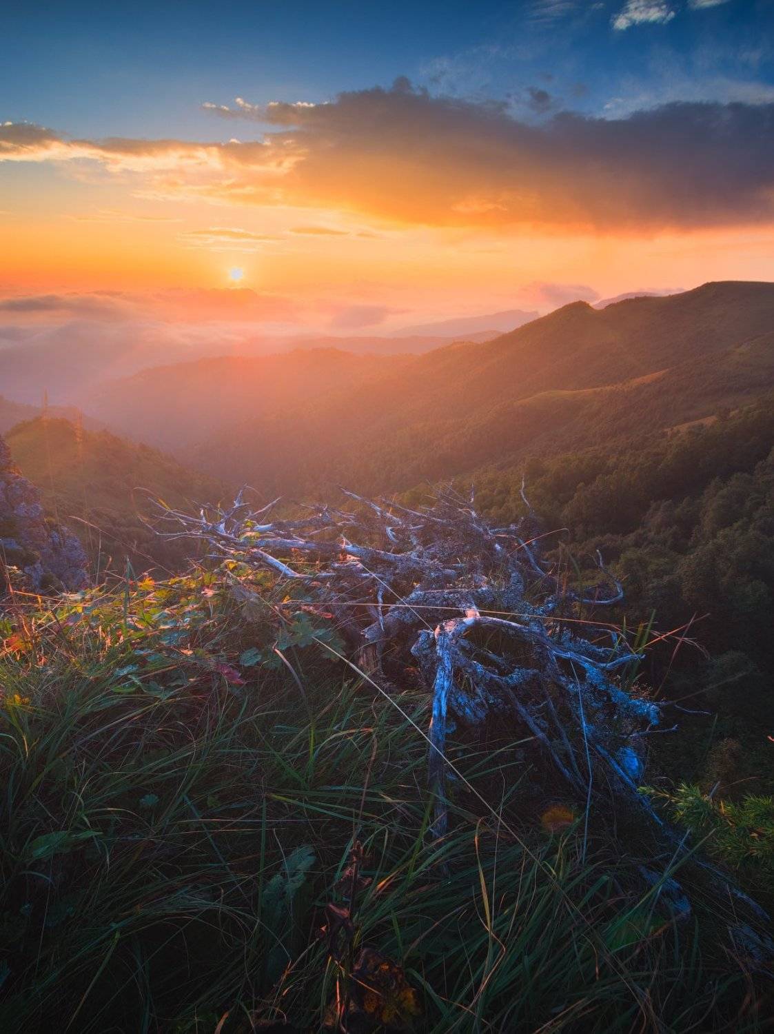 , Михаил Дубровинский