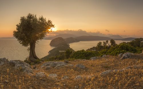 Meganisi tail. Greece.