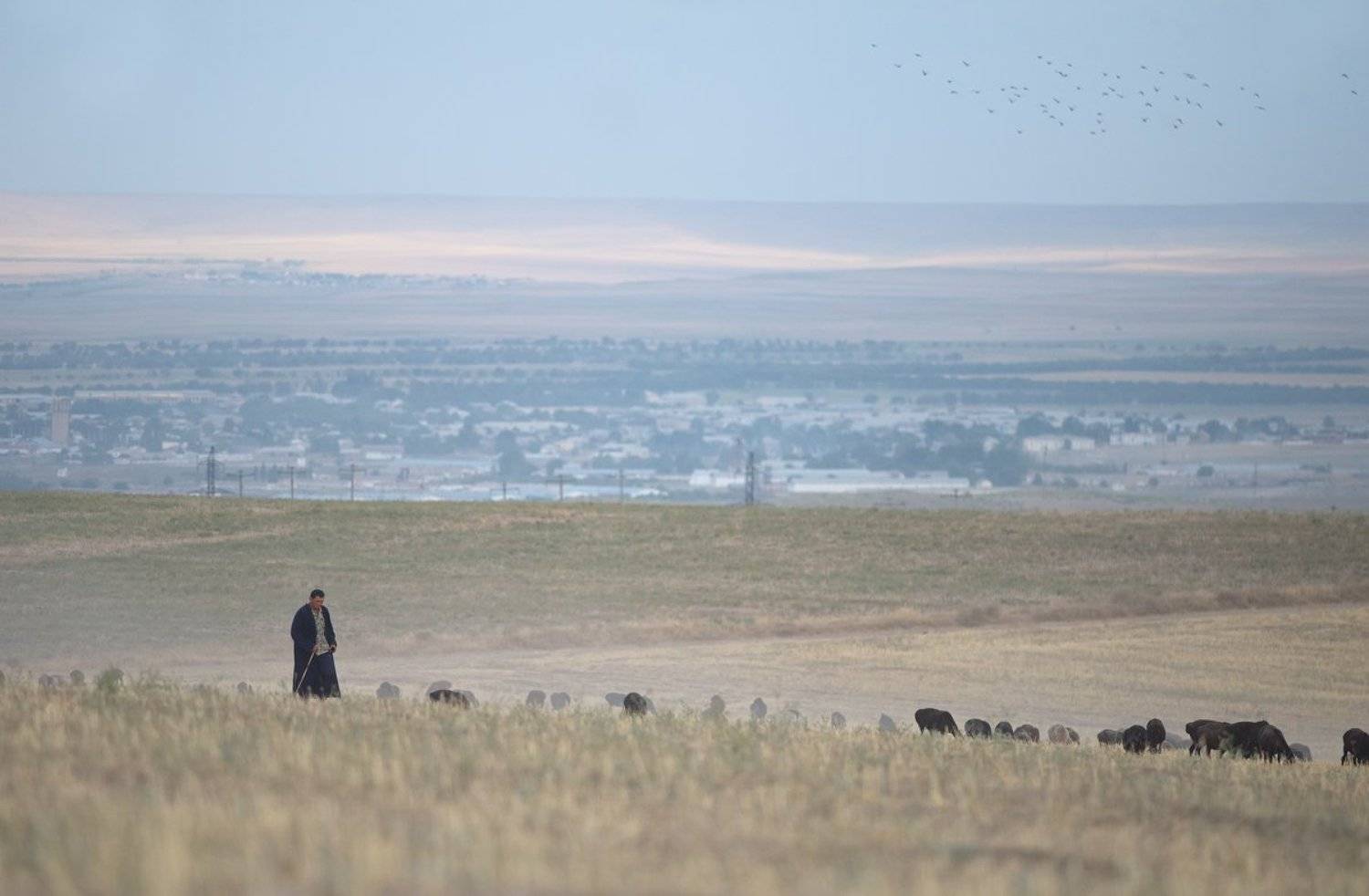  узбекистан, путешествие, пустыня, пастух, чабан, travel, uzbekistan, street, desert, ussr, город, city, Илья Гомыранов