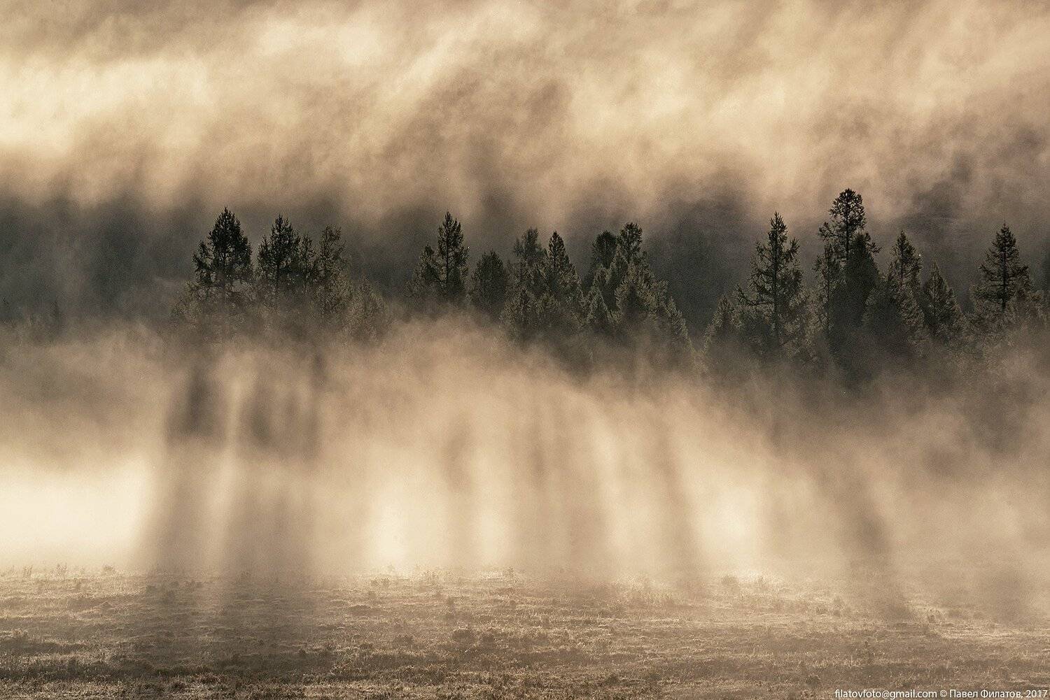 алтай, сибирь, siberia, лето, туман, altai, утро, курай, курайская степь, лучи, Павел Филатов