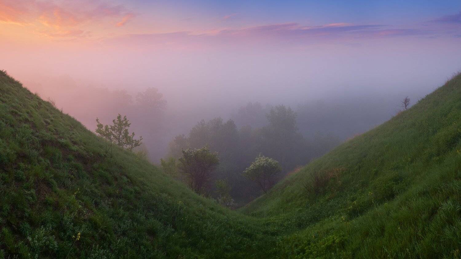 утро, рассвет, свет, лето, туман, панорама, деревья, облака,  mist, trees, sky, sunrise, fog, morning, blue, light, clouds, tree, summer, beautiful, grass, colors, green, panorama, valley, hill, misty, early, foggy, wide angle, hillside, I'M