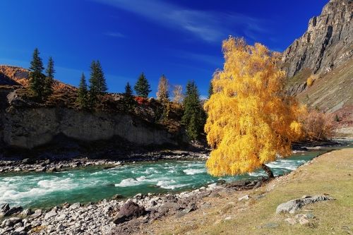 Золотая осень