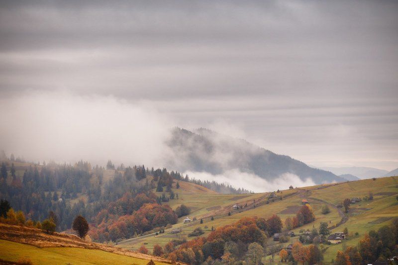 горы, дождь, карпаты, октябрь, осень, украина Немного октября фото превью