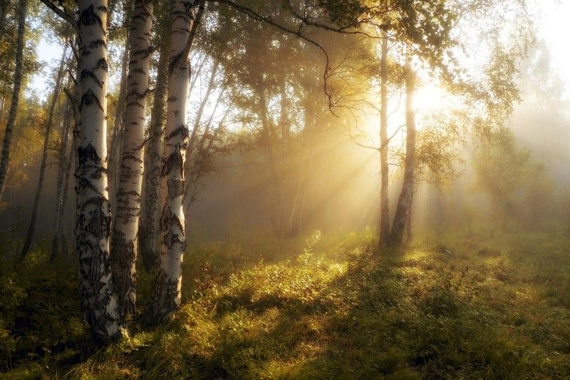 Что такое осень? фото превью