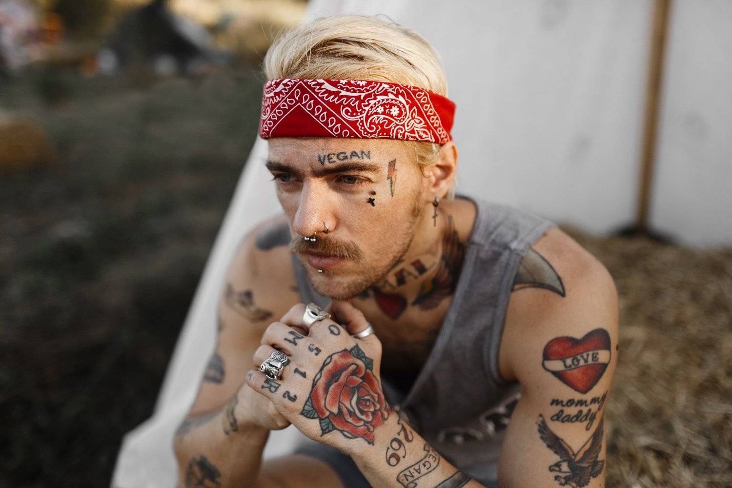 man, vegan, camp, sun, people, Артем Медведев