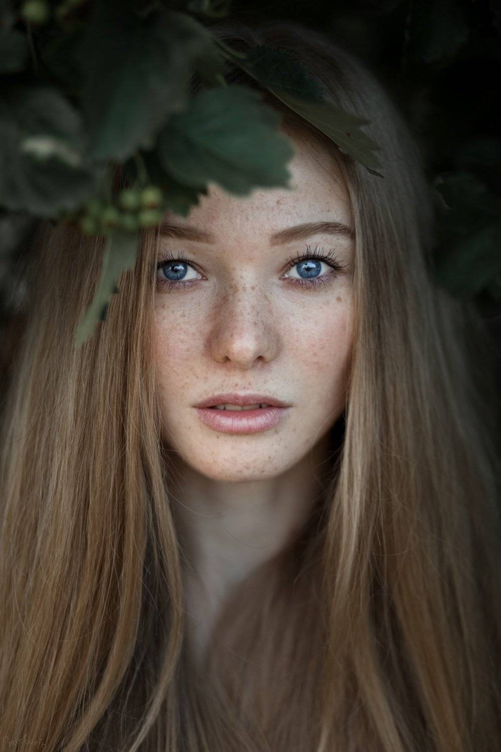 , Иван Проскурин