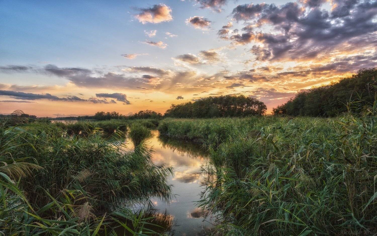 , Александр Круль