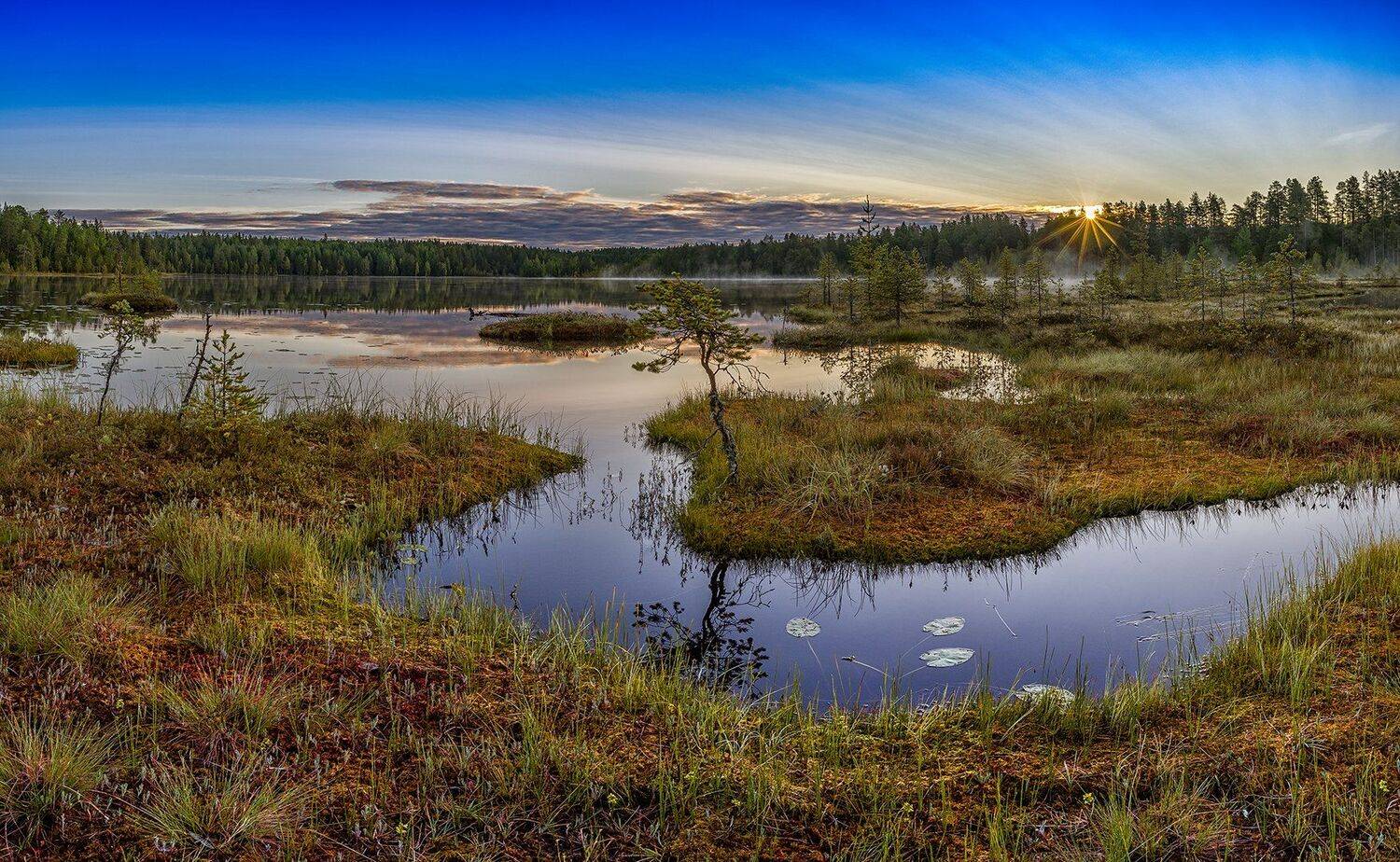 , Олег Авдеев