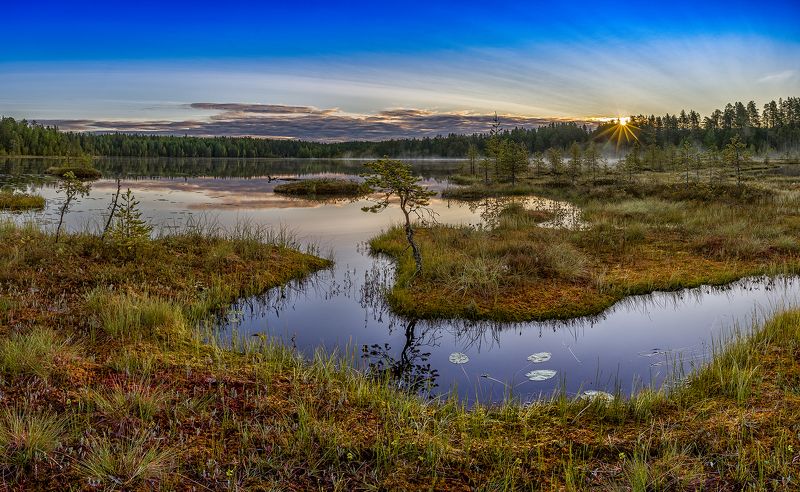 *** фото превью