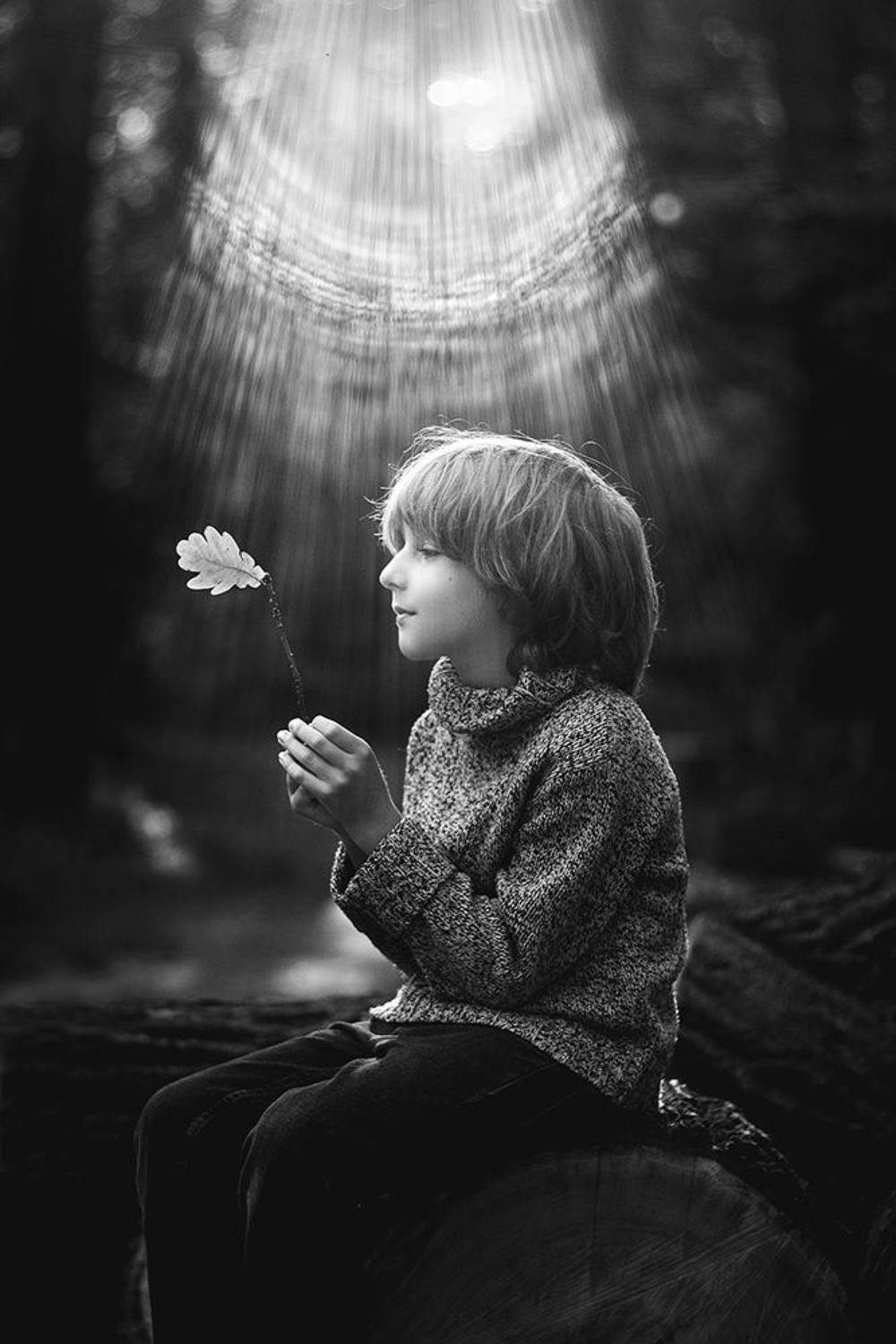 , Елена Галицкая