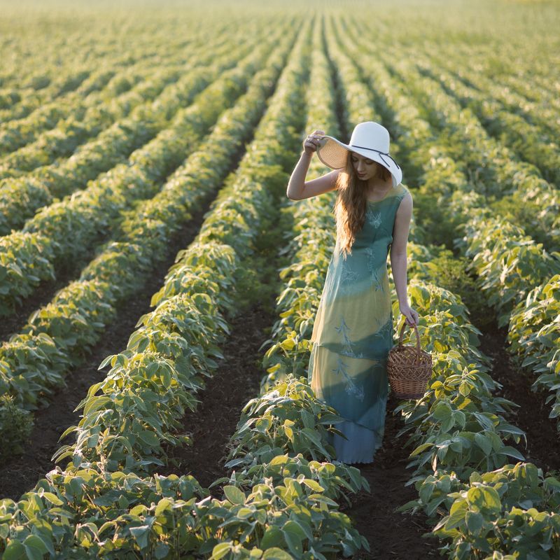 фото превью