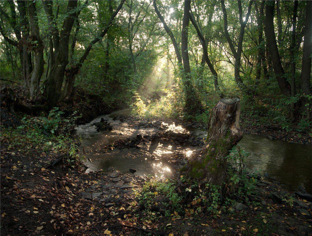 , Дитковский Евгений