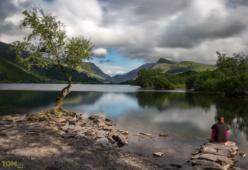 tree landscape uk united kingdom wales view water reflection nature long exposure longexpo scenery \
