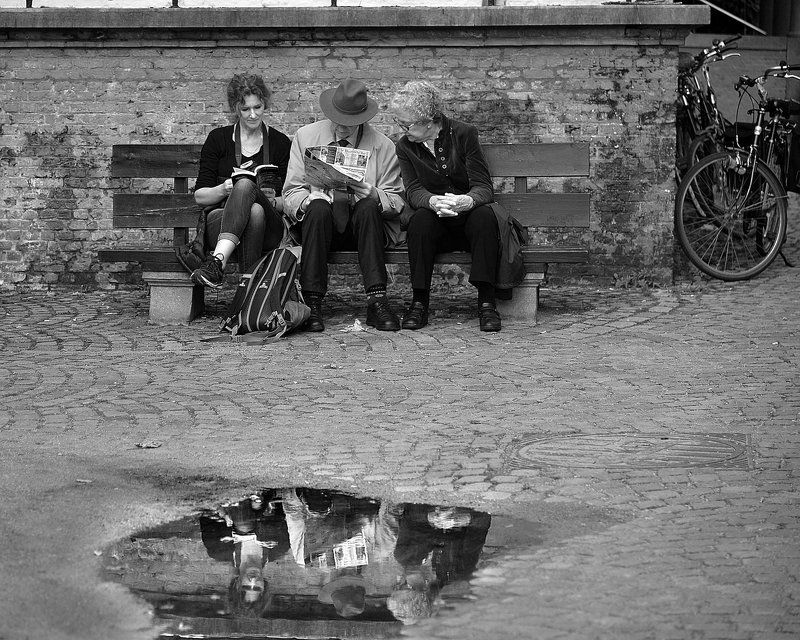 Reflection. фото превью
