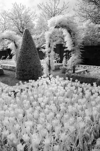 Парк цветов