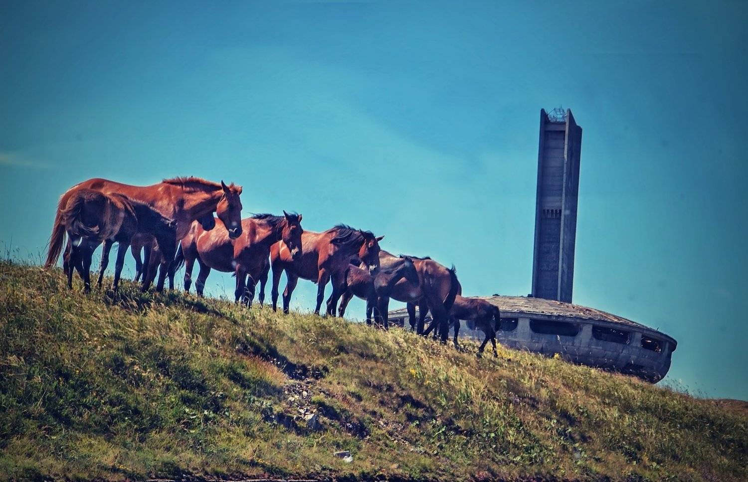 , Бистра Стоименова