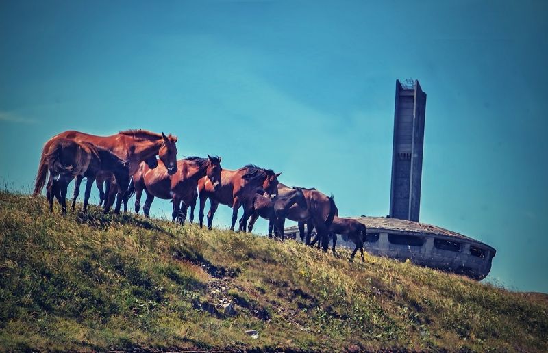 Everything flows, everything changes фото превью