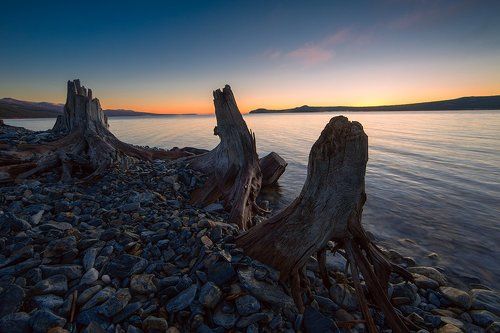 Library Sue gul lake