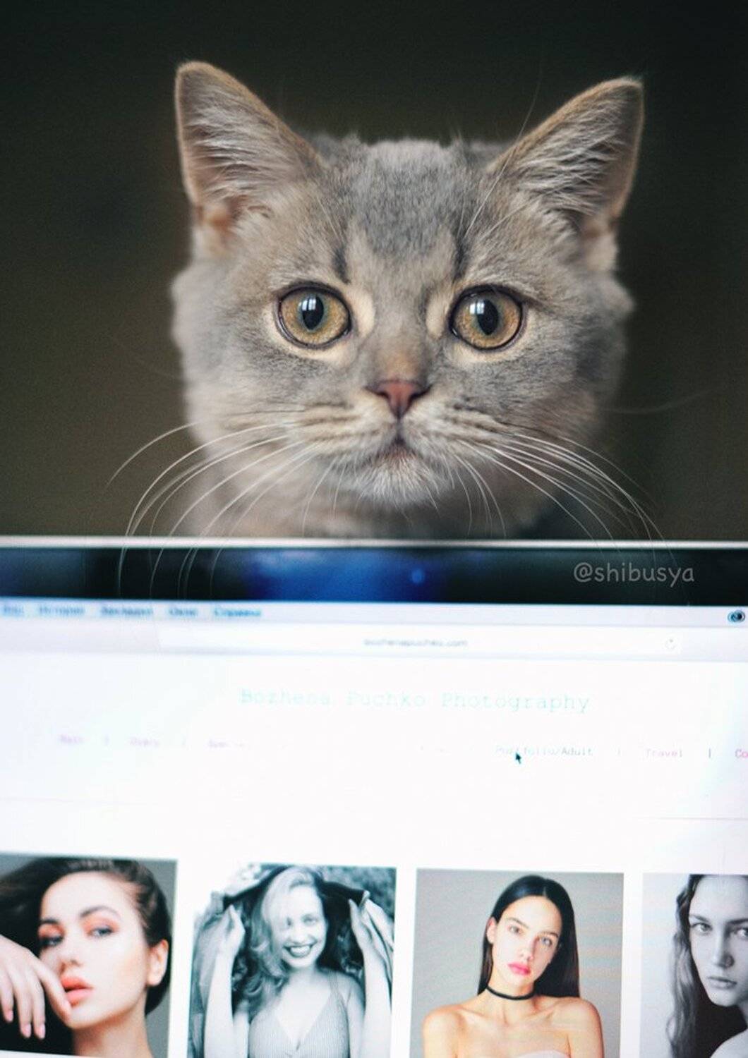 , Божена Пучко